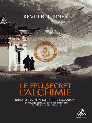 cover image of Le Feu secret de l'alchimie